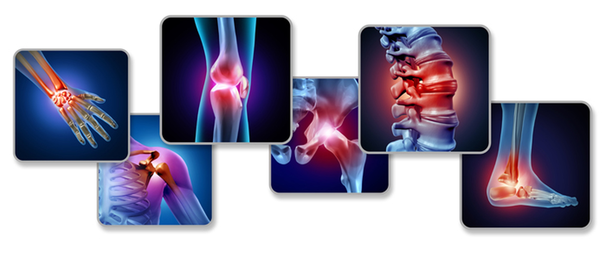 Orthopedic_banner